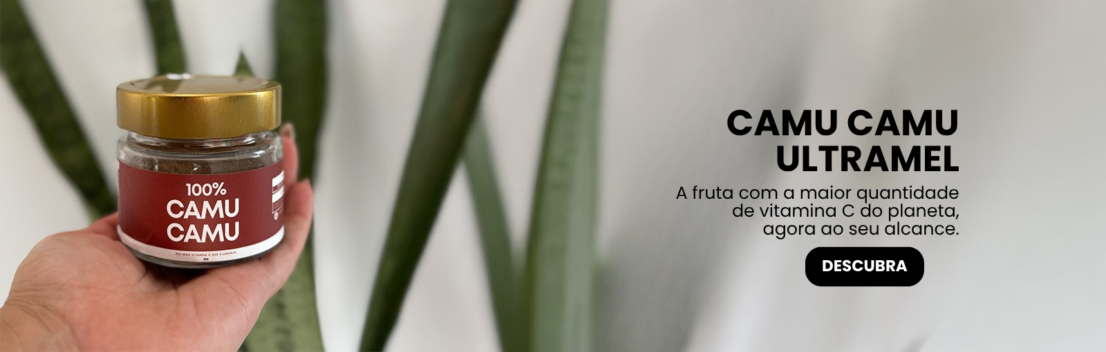Banner 3